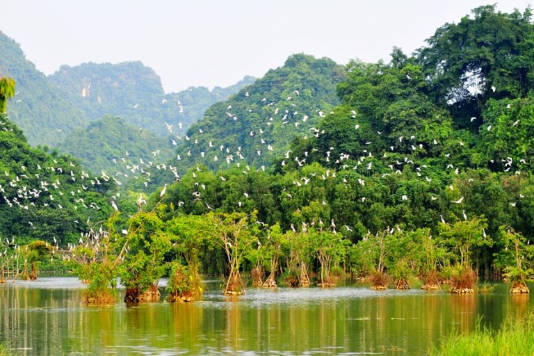 Newway triển khai phần mềm quản lý tại khu du lịch sinh thái Thung Nham 